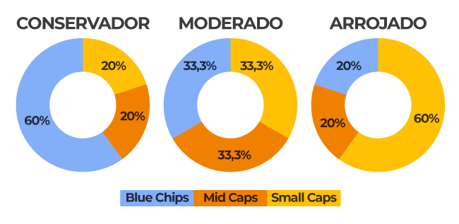 Diferentes perfis para diversificar carteira de ações