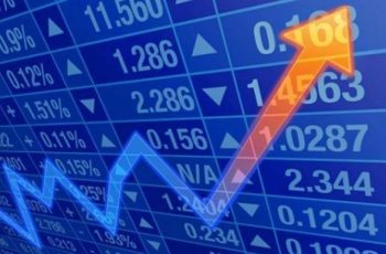 Quantas ações ter na carteira? Descubra a quantidade ideal!